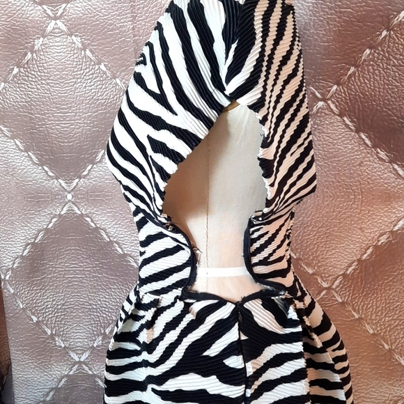 Nan-made Zebra Print Dress - Picture 10 of 11